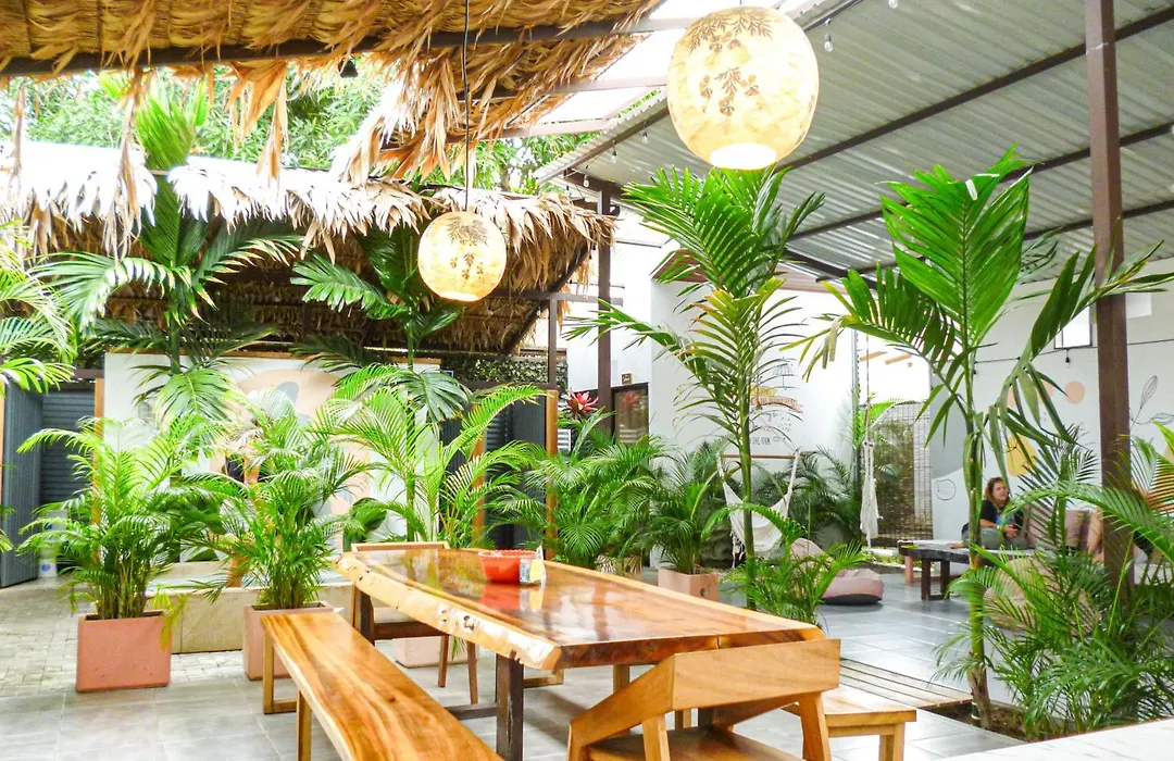 La Tribu Boutique Hostel For Women-1